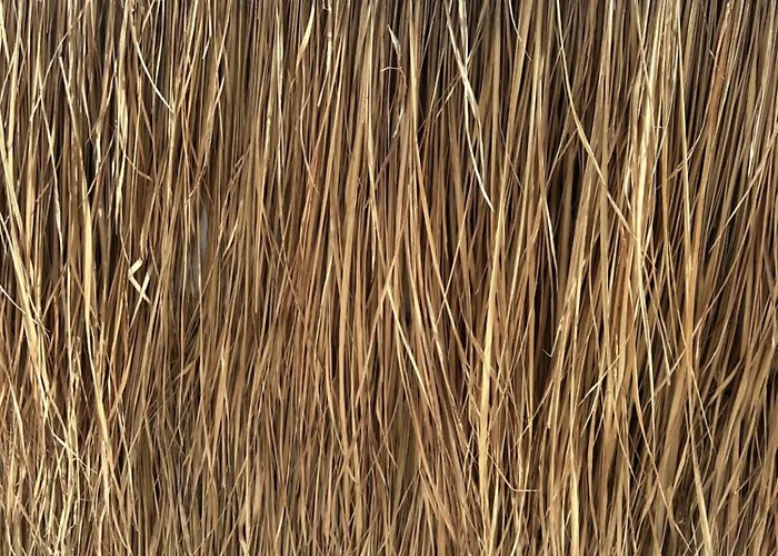 בית הארחה Athina - Lounge